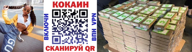 наркотики  Гдов  Кокаин Эквадор 