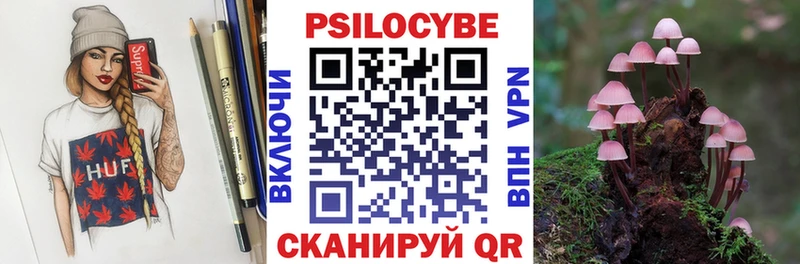 наркота  МЕГА как зайти  Галлюциногенные грибы Cubensis  Гдов 